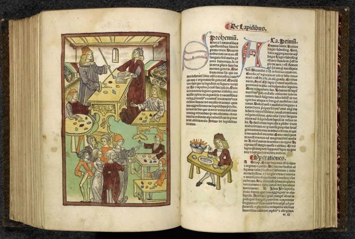 哈利波特小说的冷知识,哈利波特系列中的冷知识