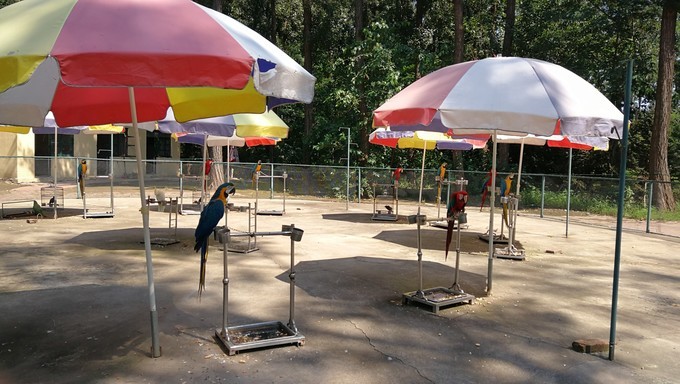 寻秦记旅游,寻秦记自驾旅游