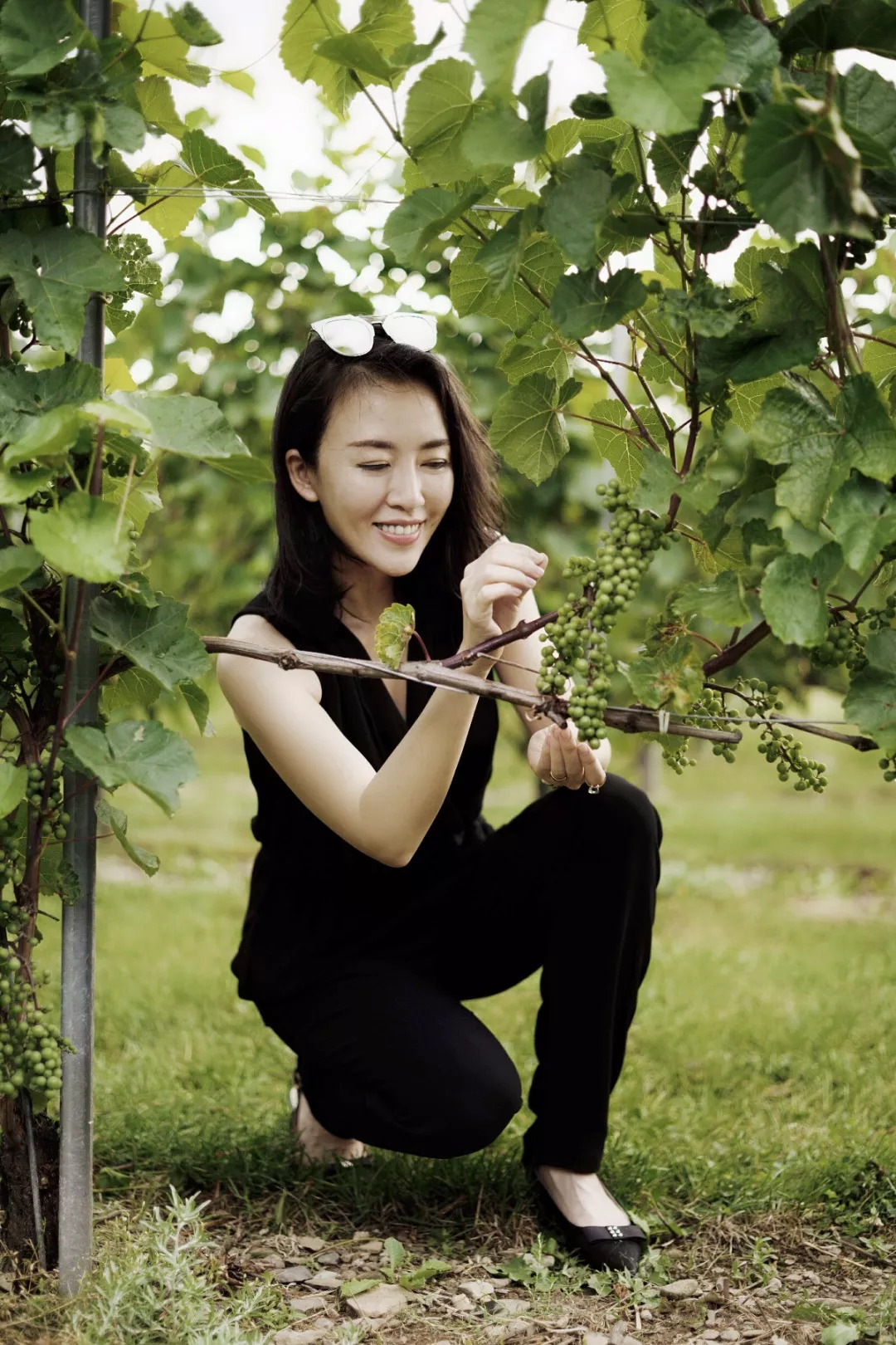 打开王潇的手账，约会加拿大新斯科舍省，遇见不一样的生活惊喜