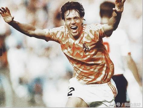 郁金香什么时候绽放,郁金香凋零