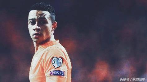 郁金香什么时候绽放,郁金香凋零