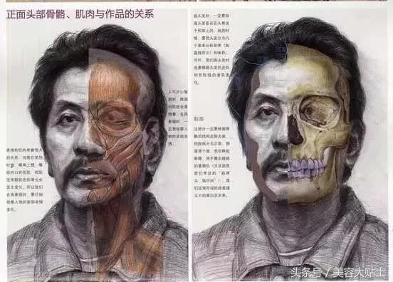 骨相明显的人怎么画眉毛,怎么才能知道什么眉形最适合你