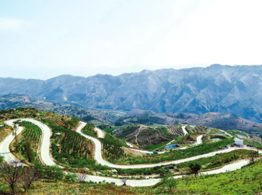 云南乡村振兴示范村建设政策,云南省四好农村路指导意见