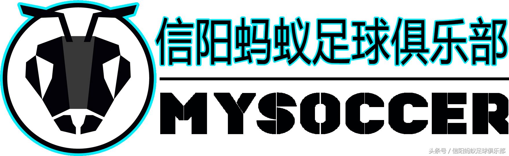 信阳蚂蚁足球比赛视频,信阳蚂蚁足球俱乐部假日足球赛