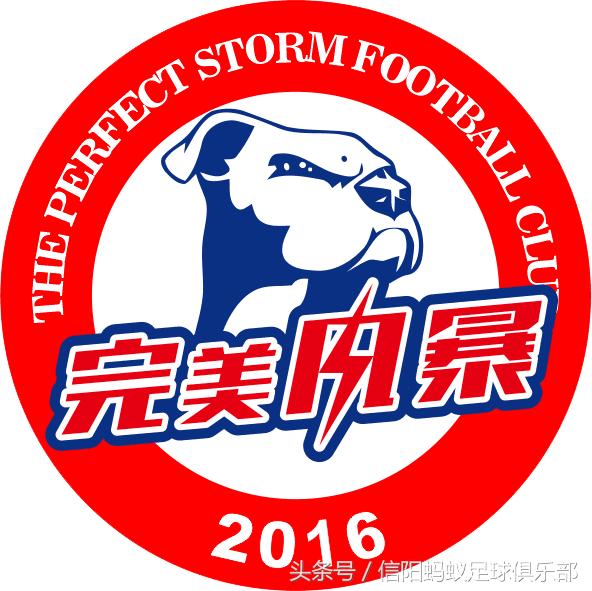 蚂蚁足球2017约战,信阳蚂蚁足球俱乐部