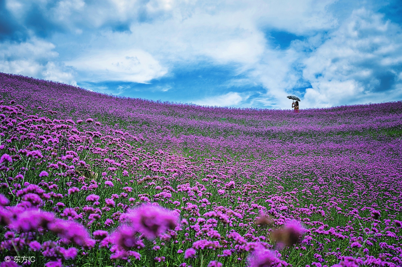 独自漂流在异乡,独自一人漂流
