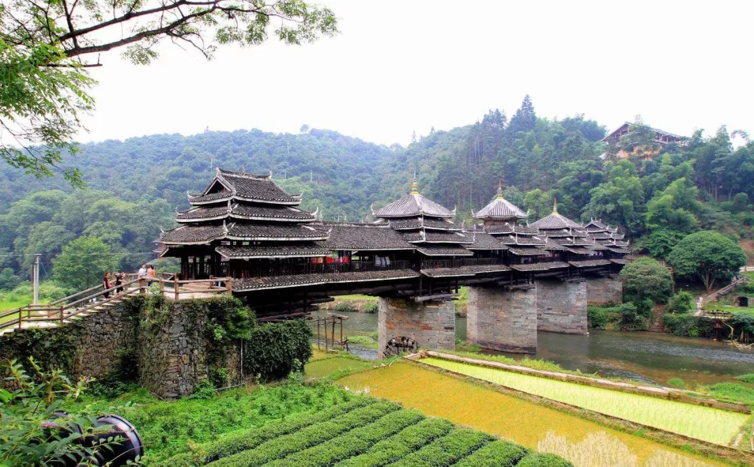 西安人去贵州,西安人结伴贵州旅行