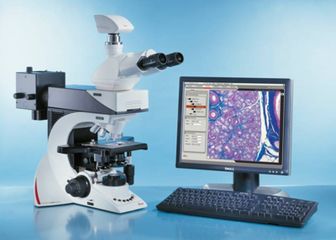 江泽飞谈乳腺癌内分泌治疗的六大热点问题