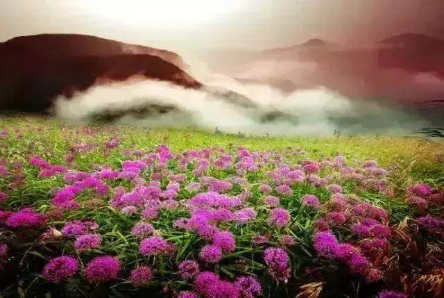 国内最美的十大海滨城市,国内最撩人的20个金秋童话