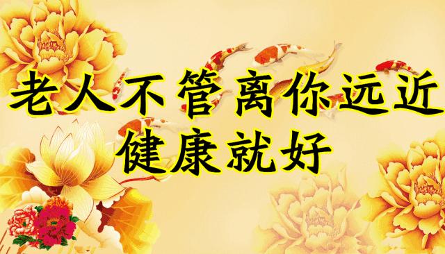 会动的图片一览表,会动的图片完整版