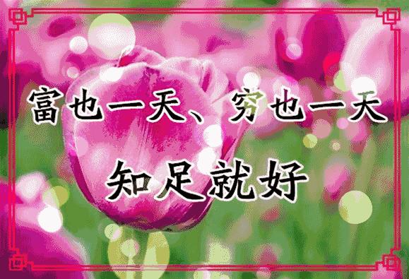 会动的11张图片,会动的花动态图片