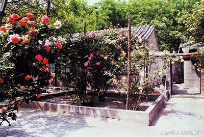 陈梦家:一位被王世襄视为明式家具的启蒙者,古家具收藏第一人