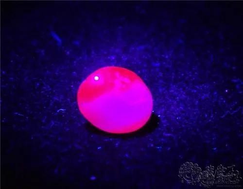 红宝石比重和钻石比重哪个重一点,红宝石怎么辨别真假