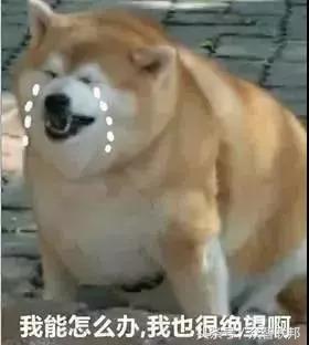 再见代购再见微商,微商代购怎么交税