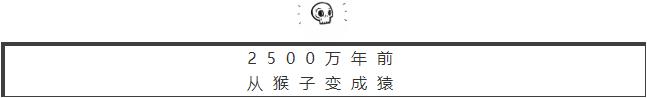 人体哪个部位让你，忍不住伸出舌头，想舔……｜从5500万年前说起