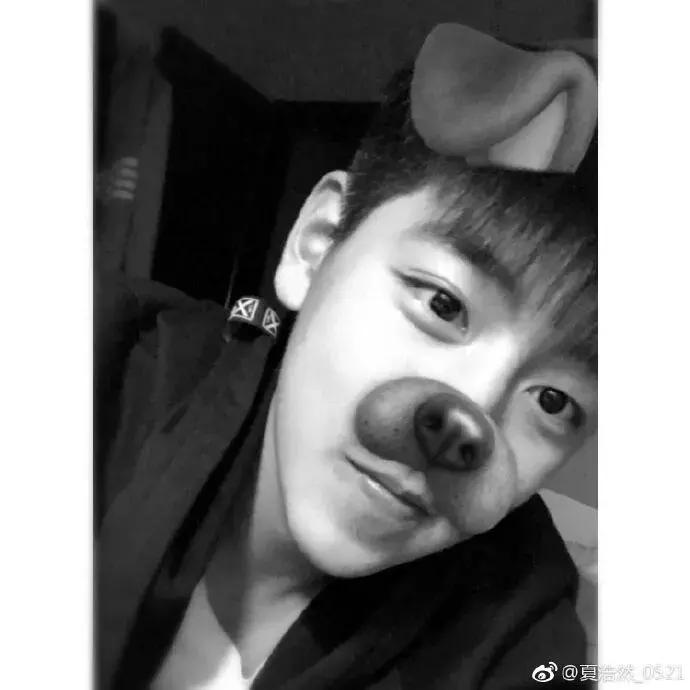 还以为是直男最爱，一点开我少女心炸了！