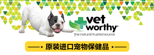 网友出门逛街,发现有一只低价出售的二哈,买回去结果赚大发了!