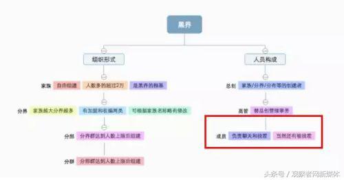 宇宙级代沟：00后在骂你，你却一脸懵逼