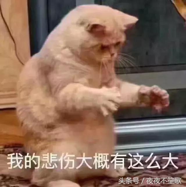 可以不用卸妆的素颜神器,持久不脱妆伪素颜神器