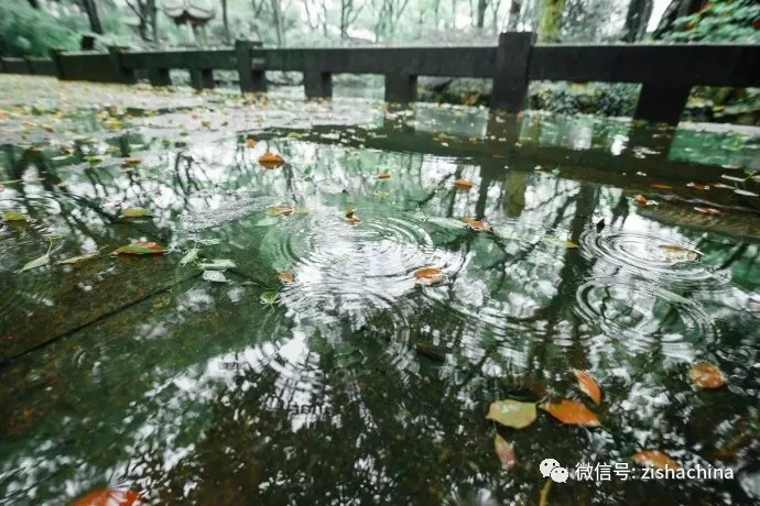 没有净土只好静心,没有净土不如静心