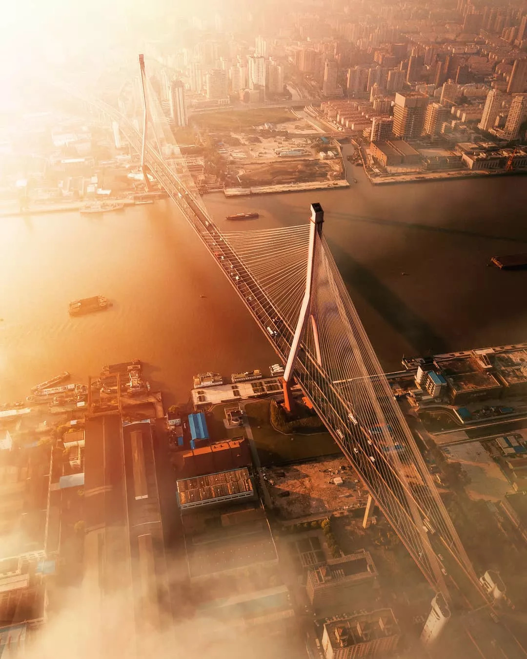 上海惊艳视频,上海夜景震撼外国人视频横屏