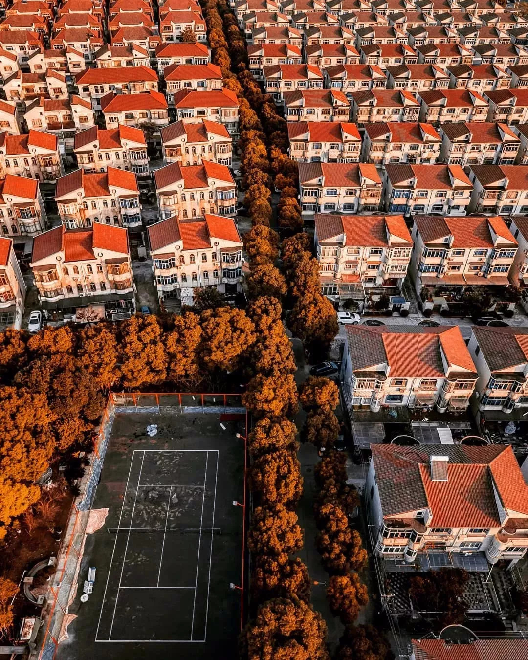 上海惊艳视频,上海夜景震撼外国人视频横屏