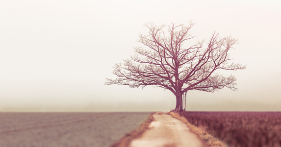 草地里捡只山鸡我放床上，半夜发现被帅哥抱怀里：媳妇一起睡