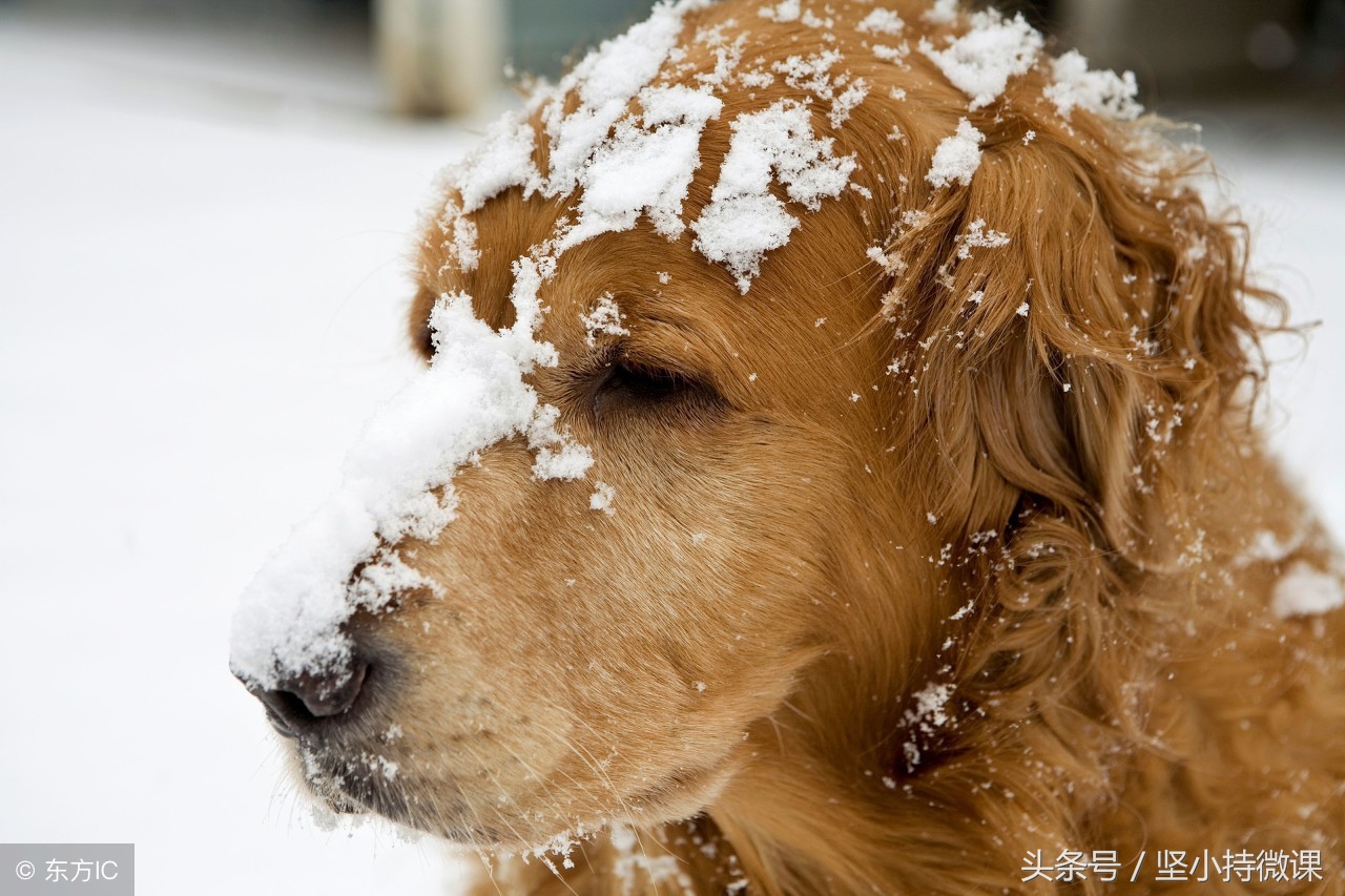 比cold更冷的单词,cold寒冷的单词巧记