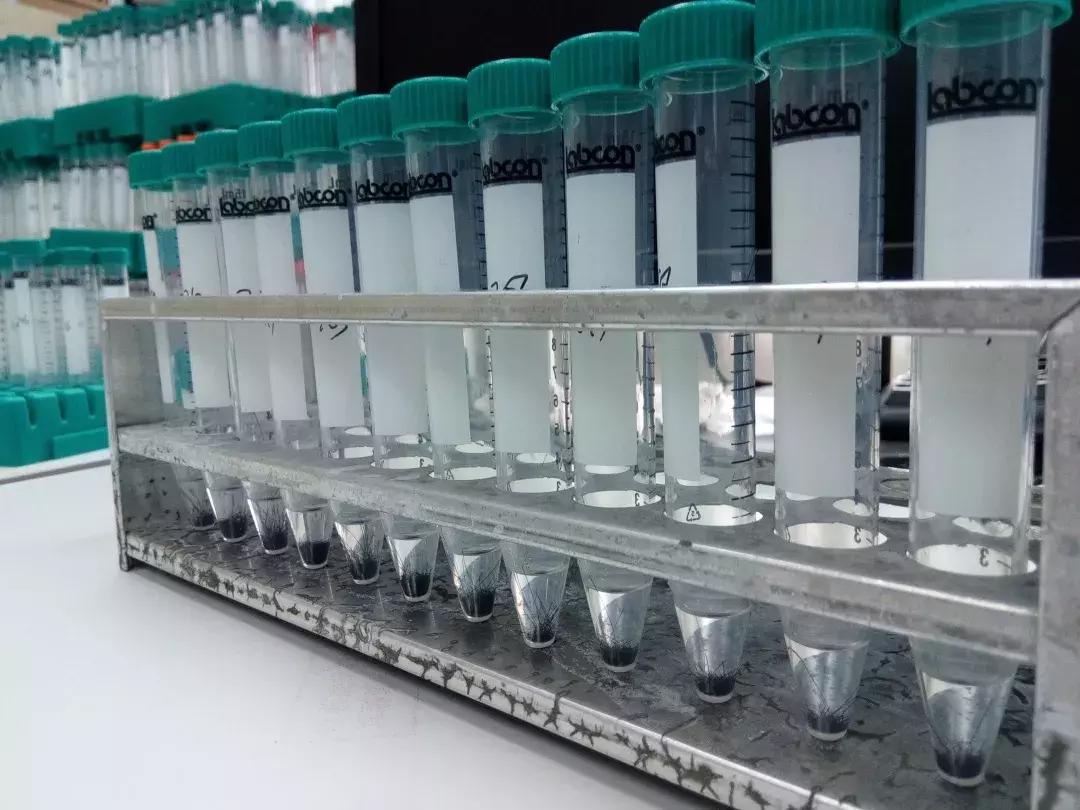 毛发验毒自行检测,剃光头毛发检测