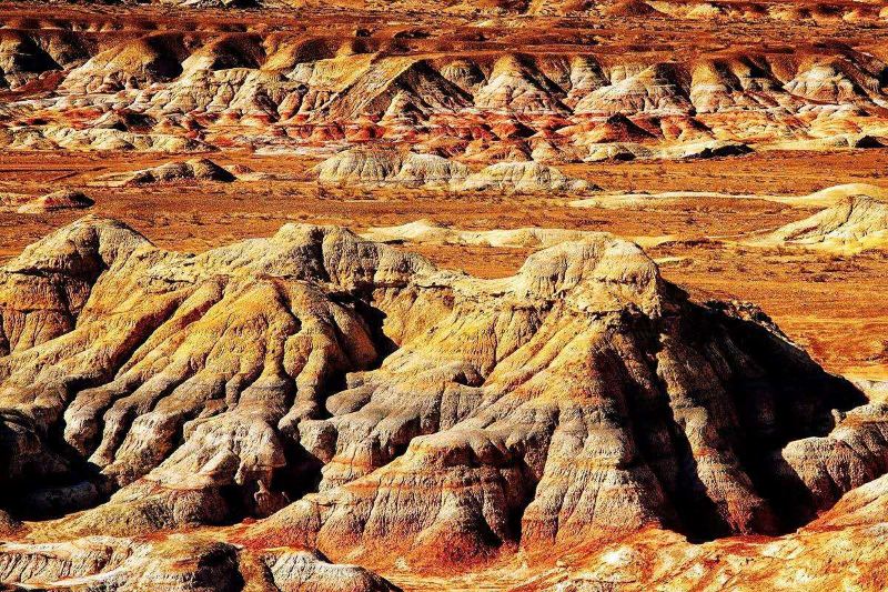 北疆环线10日游最新,北疆环线10日游旅游团