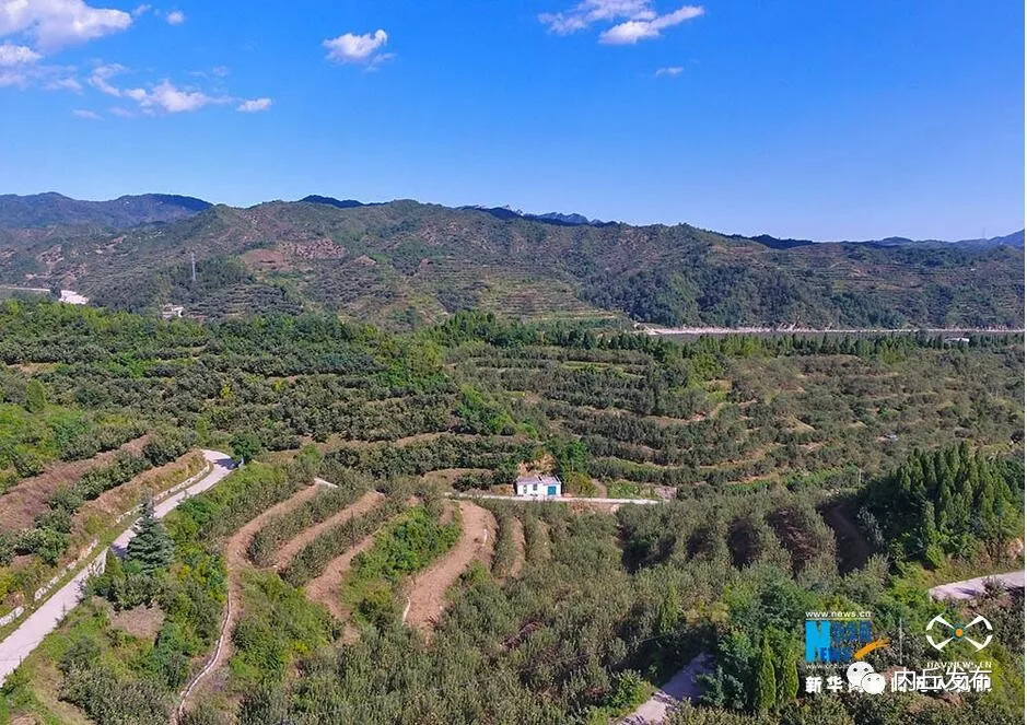 太行苹果小镇,苹果乡村振兴视频