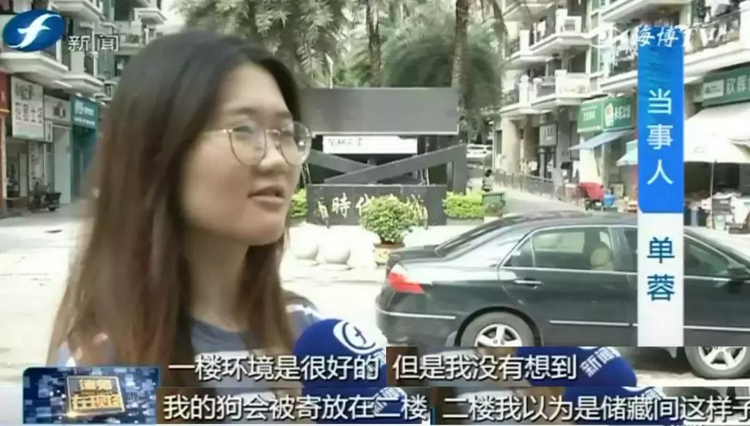 宠物店签订协议寄养死了怎么赔偿,为什么幼犬会在一夜之间莫名死亡