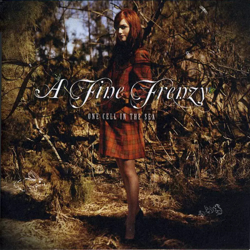 十首能让你心动的英文歌,唯美清新甜美的音乐推荐