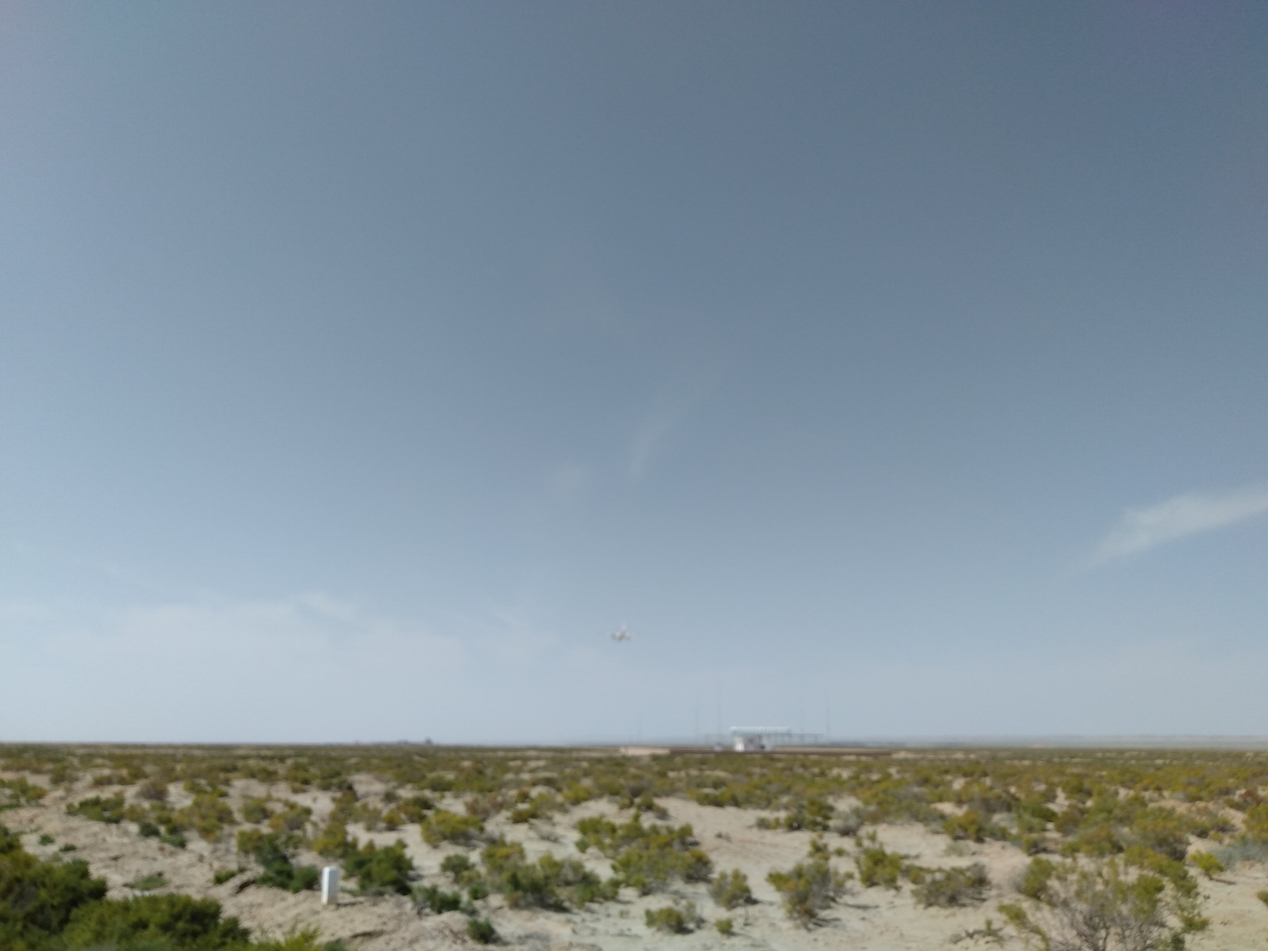 沙漠人参肉苁蓉对身体有啥好处,沙漠人参肉苁蓉吃了有什么功效