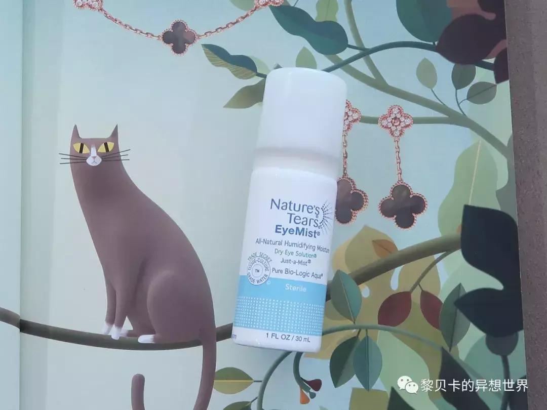 她们太会买了,这些东西不过百元,好看又好玩