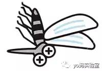 驱蚊灯驱蚊神器第一名评测,未来驱蚊神器测评