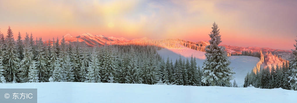 初三物理上册升华与凝华视频教学,初中物理升华与凝华教学设计
