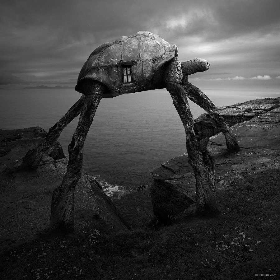 鲲到底是什么？吞噬鲲类游戏全生物原型大揭秘