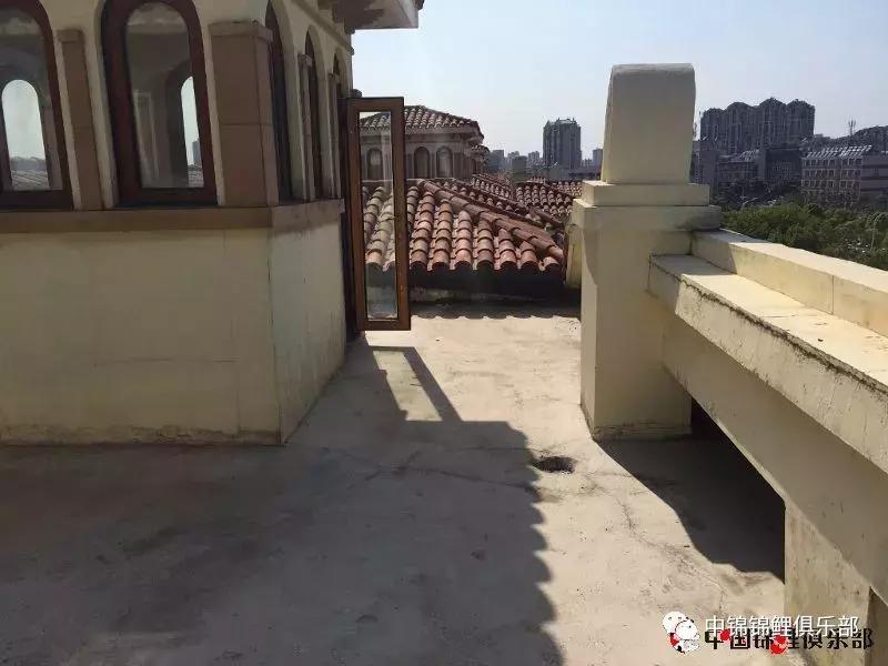 楼顶鱼池有哪些,屋顶鱼池的建造方法