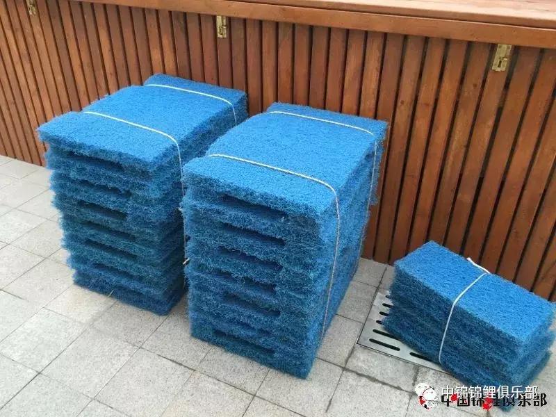 楼顶鱼池有哪些,屋顶鱼池的建造方法