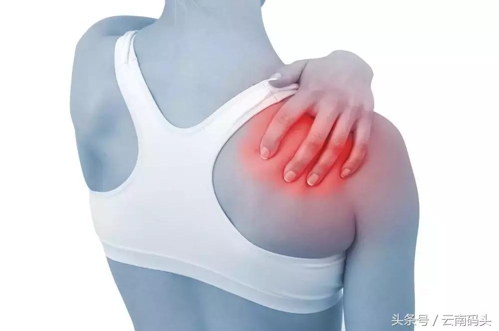 世界冠军运动员15年的秘密*器武**——天然虾青素