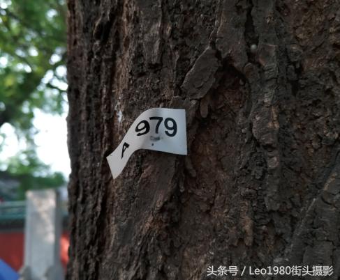 市政管理工作重点,市政管理精细化水平