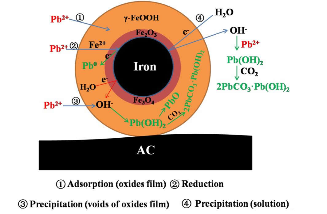 负载纳米零价铁净水炭高效安全转化水中铅研究取得进展