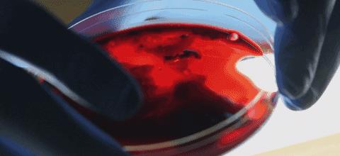 很血腥猎奇的三部纪录片,比较血腥的纪录片