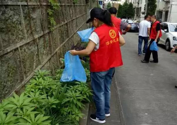 我们一起来接力！这里有份“除四害保健康”的倡仪书……