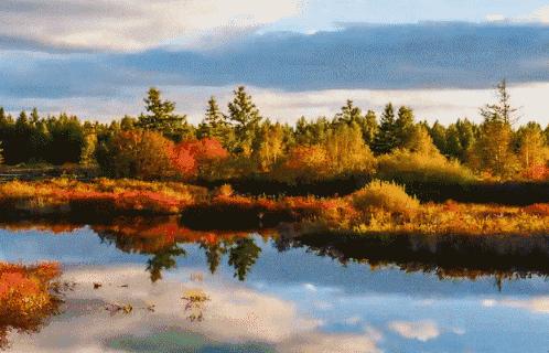 西安人去贵州,西安人结伴贵州旅行