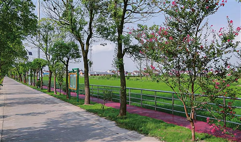 崇明旅游小镇,印象崇明岛