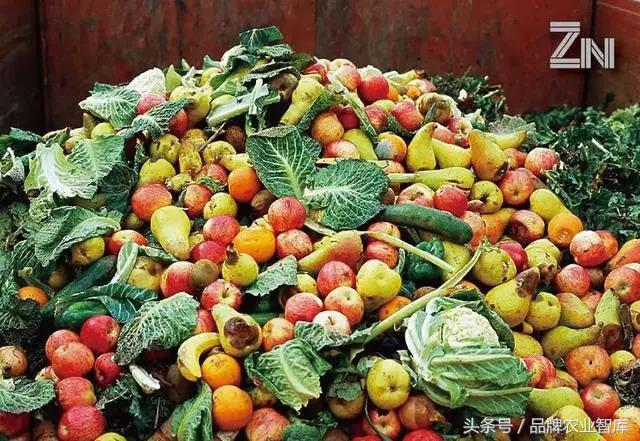 生鲜电商市场前景如何,生鲜电商市场前景