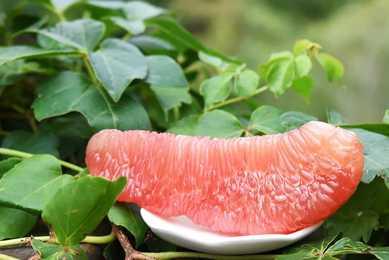 甜蜜时令柚子礼盒,甜蜜柚礼盒