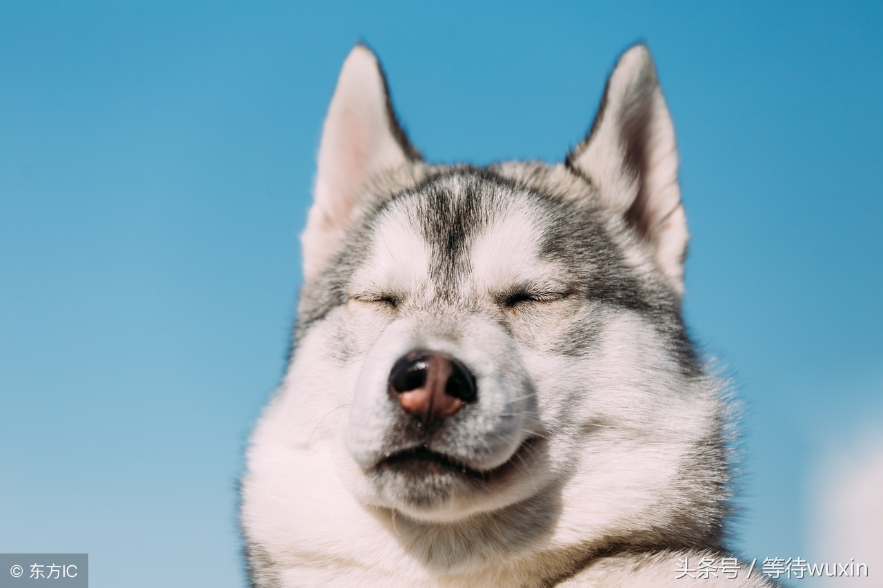 知道什么叫流线型吗,o型腿锻炼方法教程